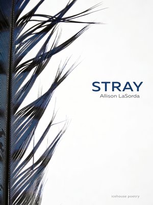 cover image of Stray